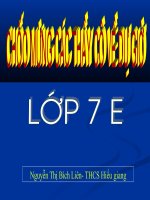 Giun đũa(có violet)