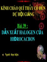 dã xuat halogen cua HC