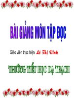 Tập đọc: Mẹ