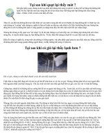 Vật lí và đời sống 8