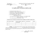 Báo cáo kiểm tra Văn bằng - Chứng chỉ