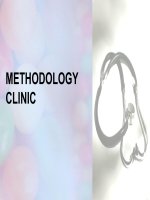 Nội dung thảo luận tập huấn tiếng anh