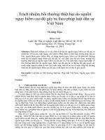 Trách nhiệm bồi thường thiệt hại do nguồn  nguy hiểm cao độ gây ra theo pháp luật dân sự  Việt Nam