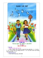 Giáo án 5 Tuần 29-30(10-11)