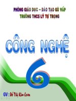 bai 19: TH Rau xà lách trộn dầu giấm