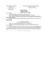 Văn 9 TS vào 10 BĐịnh