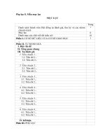 Phụ lục 8 : Mẫu phụ lục