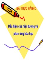 Bài thực hành 3