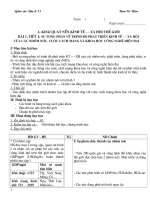 giáo án 11 cơ bản