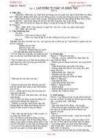 Tuần 12 đến Tuần 15