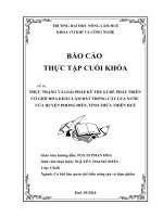 THỰC TRẠNG và GIẢI PHÁP kỹ THUẬT để PHÁT TRIỂNCƠ GIỚI hóa KHÂU làm đất TRỒNG cây lúa NƯỚCCỦA HUYỆN PHONG điền, TỈNH THỪA THIÊN HUẾ 