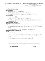 De KT Giai tíc 12 Ch I SGD-DT DakLak (09-10)