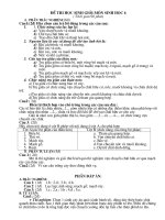 đề hs gioi sinh 6