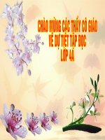 Mot nguoi chinh truc