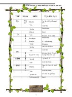 GIÁO ÁN LỚP 2 TUẦN  2 CKTKN