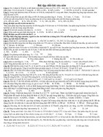 BT chat khí của Nito