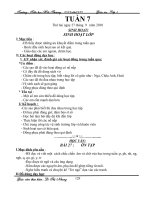 TUAN 7- LOP 1( CKTKN )