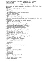 Đề kiểm tra giữa học kỳ I- Năm học 2010-2011