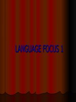 E 7 Unit 9 Language Focus