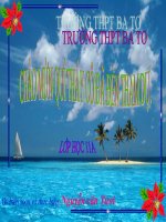 dong điện trong kim loại ( 11NC )