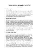 Motivation in the ESL Classroom