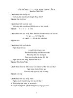 Câu hỏi giao lưu lớp 5