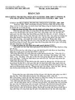 báo cáo hoạt động thanh tra