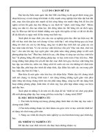 SKKN Doi moi PP day.doc