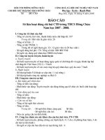 báo cáo chữ thập đỏ