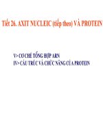 Tiết 26. Axit Nucleic (tt) và prôtein