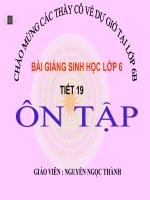 Tiết 19.Ôn tập