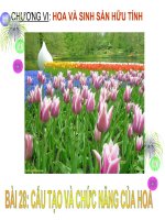 BÀI 28 - CẤU TẠO VÀ CHỨC NĂNG CÁC LOẠI HOA