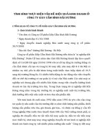 TÌNH HÌNH THỰC HIỆN VẤN ĐỀ HIỆU QUẢ KINH DOANH Ở CÔNG TY GIÀY CẨM BÌNH HẢI DƯƠNG