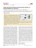 Visible Light Driven Photoelectrochemical Water Oxidation onNitrogen-Modified TiO2Nanowires