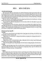 ke hoach bo mon toan 9 nam hoc 2010.2011