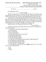 DE KTCL DAU NAM3 09-10 (Tieng Viet)