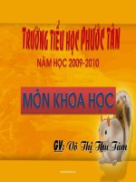 SU DUNG NANG LUONG GIO VA NANG LUONG NUOC CHAY