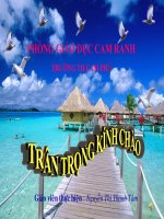 ga tap docvevecuocsongantoan.ppt