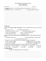 DE KIEM TRA THANG THU 2- LOP 5