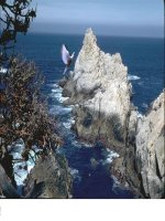 Unit 6 - The Environment