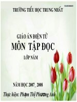 Tap doc- Phong canh Den Hung