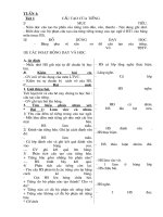 Luyện từ và câu lớp 4 (TCVN3)