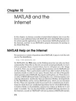 MATLAB and the Internet
