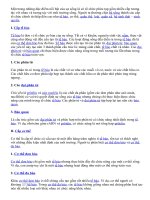 Một trong những đặc điểm nổi bật của sự sống là có tổ chức phức tạp gồm nhiều Các cấp tổ chức của thế giới sống.doc