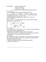 de thi học sinh giỏi hóa9 nam01-02QB