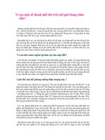 Vì sao một số thành phố lớn trên thế giới đang chìm dần