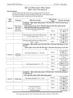 Đề cương phụ đạo