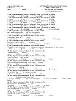 Đề thi ktra HKII. Anh 11