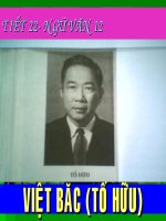 tác gia Tố Hữu ( Ngữ văn ct cơ bản)