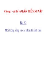 môi trường và sinh thái